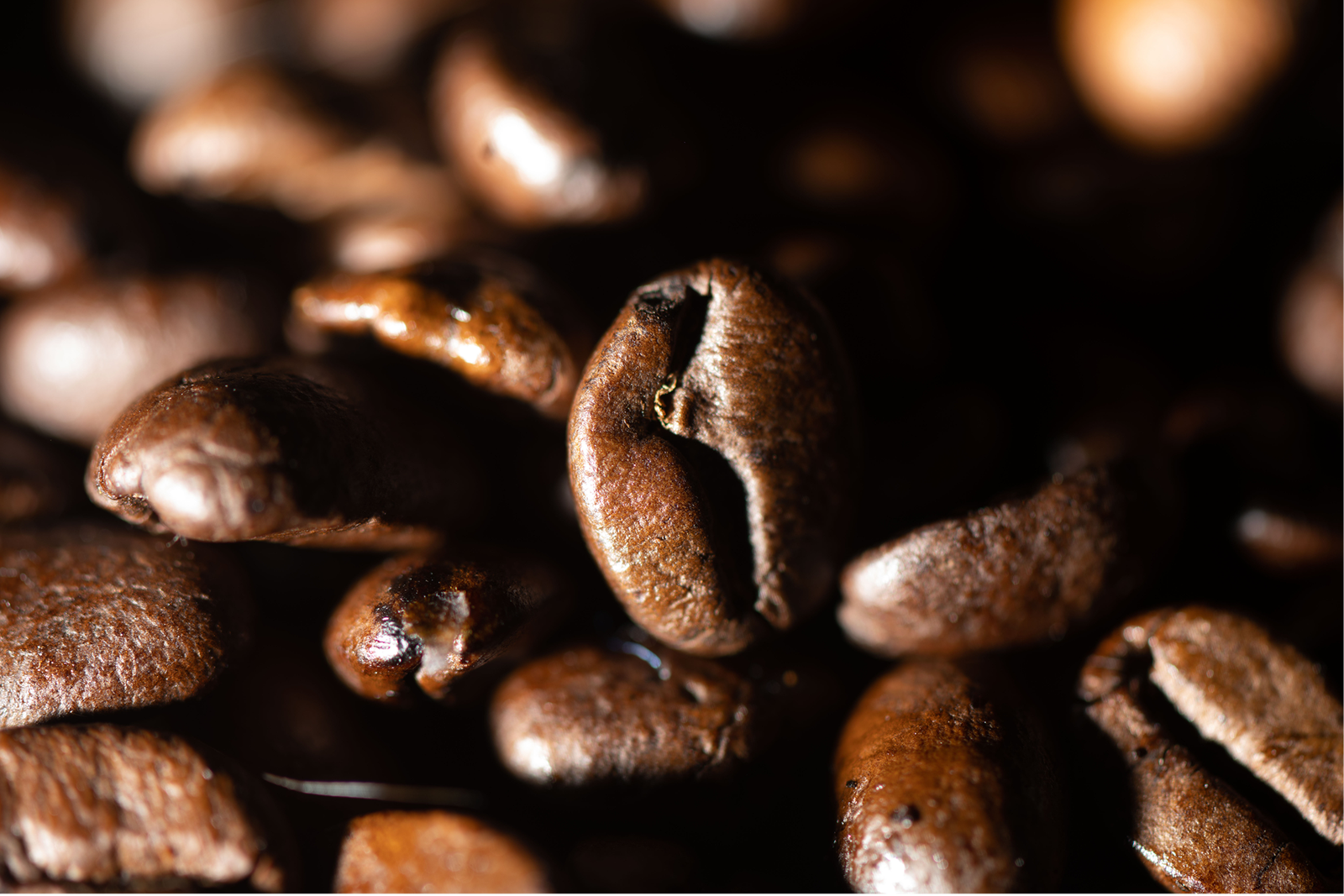 Bad Hand Coffee